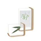 Herbarium Display Frame — glass wall decor, view 5