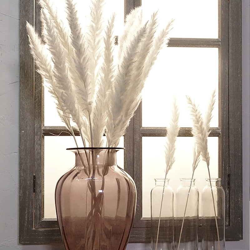 Natural Reed Dried Stems — preserved botanicals vases decor, view 1