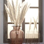 Natural Reed Dried Stems — preserved botanicals vases decor, view 1
