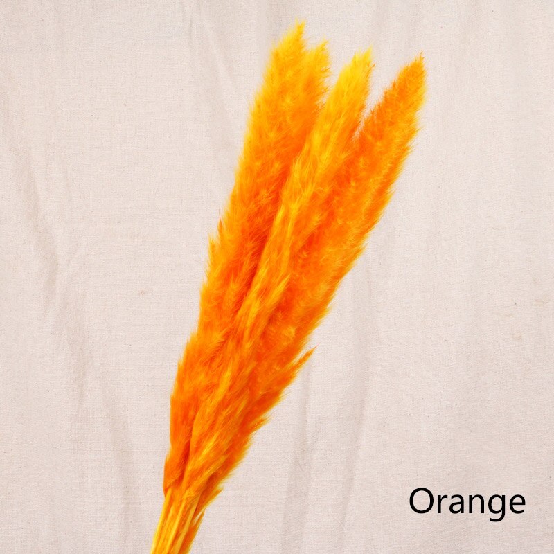 Natural Reed Dried Stems — preserved botanicals vases decor, view 2