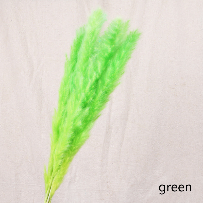 Natural Reed Dried Stems — preserved botanicals vases decor, view 10