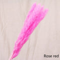 Natural Reed Dried Stems — preserved botanicals vases decor, view 3