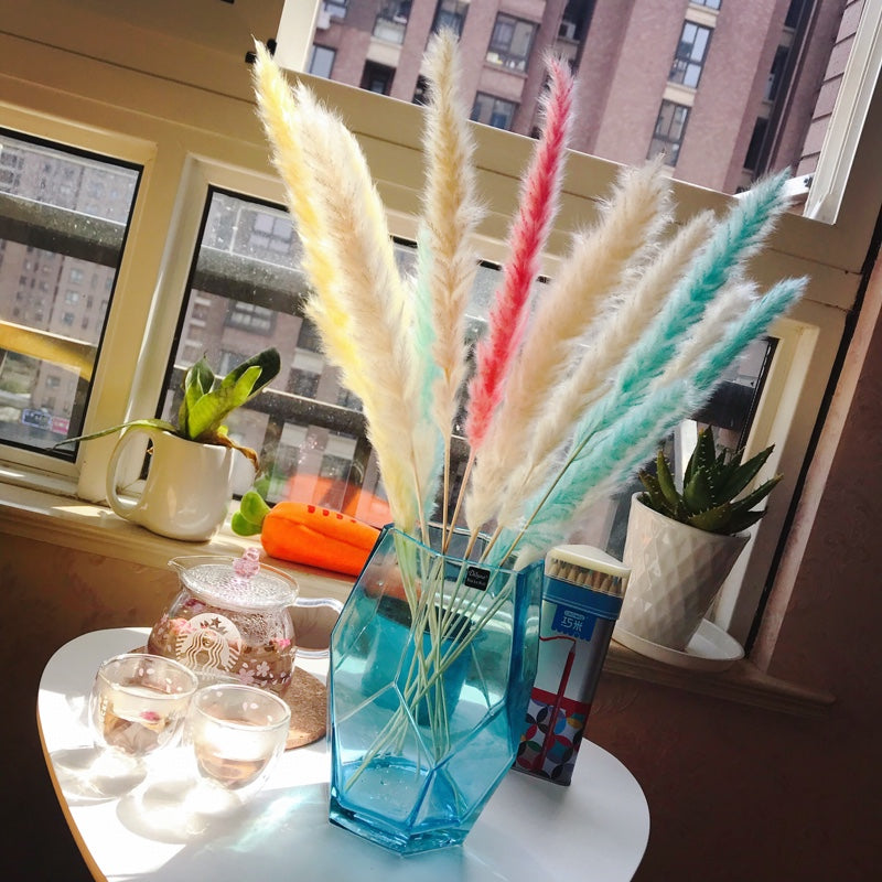 Natural Reed Dried Stems — preserved botanicals vases decor, view 13