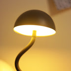 Dome Gooseneck Table Lamp — lighting decor, view 5