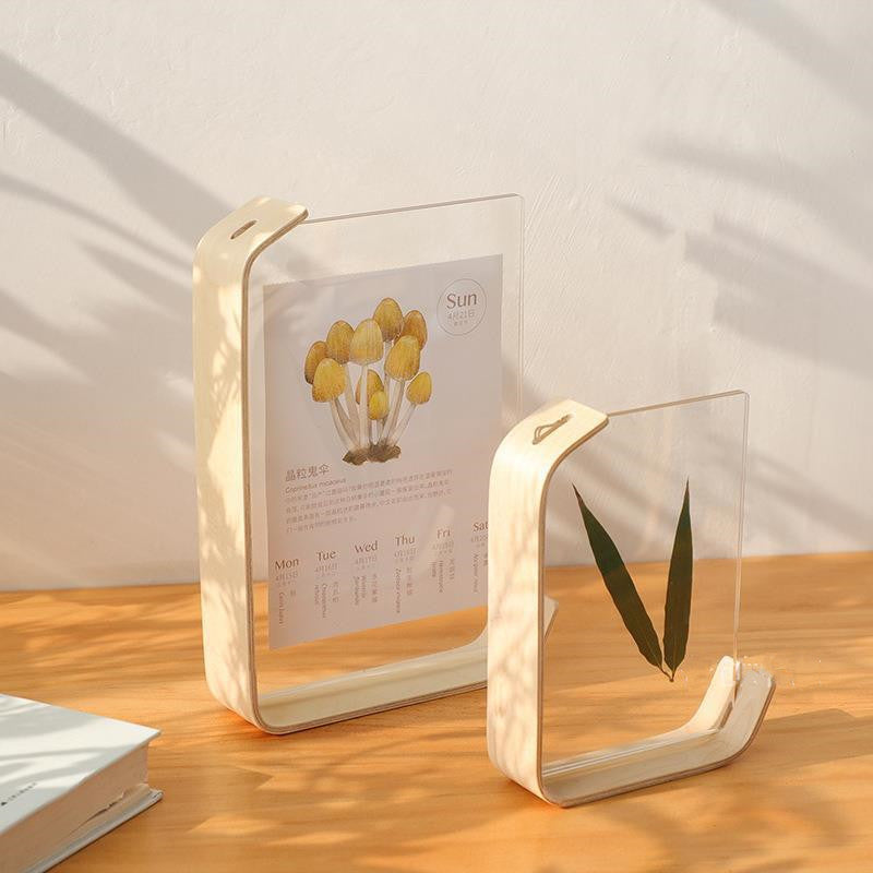 Herbarium Display Frame — glass wall decor, view 3